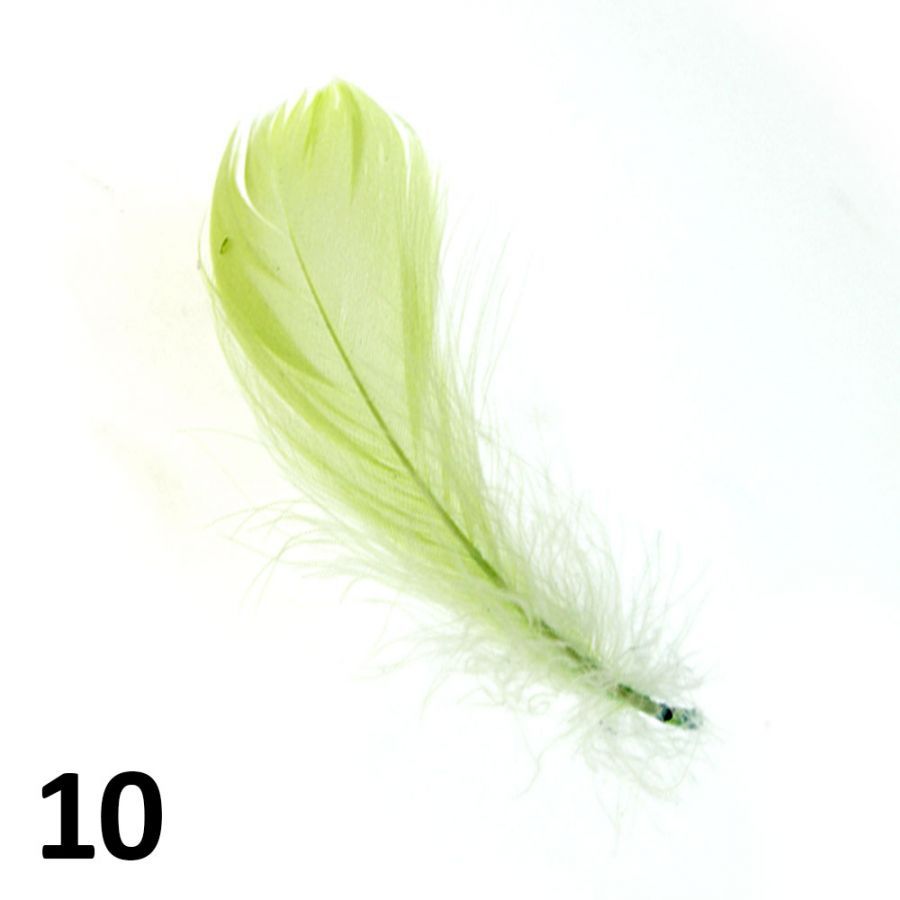 Peříčka na nehty č.10 - 5 ks
