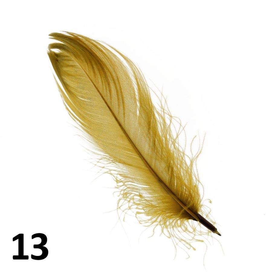 Peříčka na nehty č.13 - 5 ks